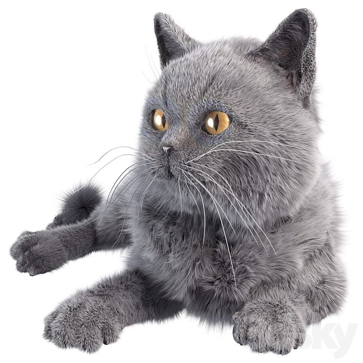 مدل سه بعدی گربه 12