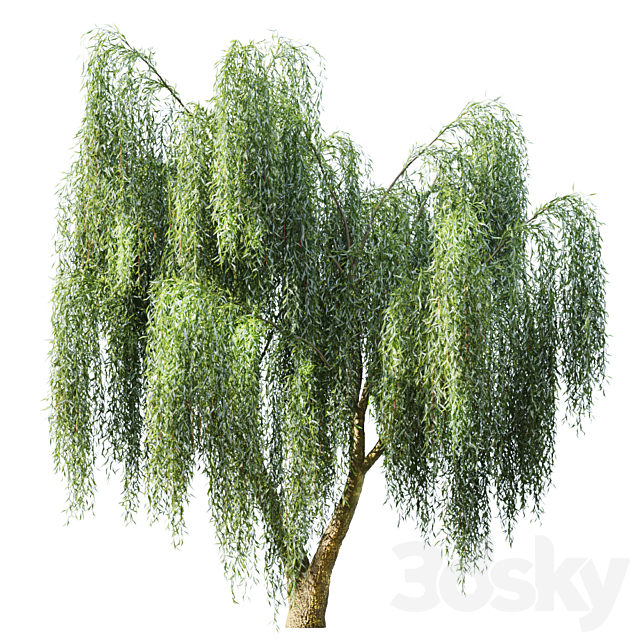 مدل سه بعدی درخت 490