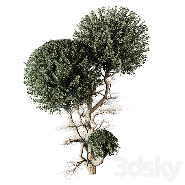 مدل سه بعدی درخت 503