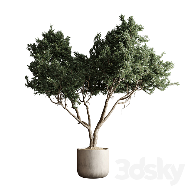 مدل سه بعدی درخت 508