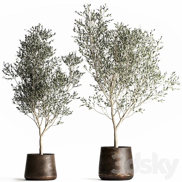 مدل سه بعدی گل و گلدان 1617