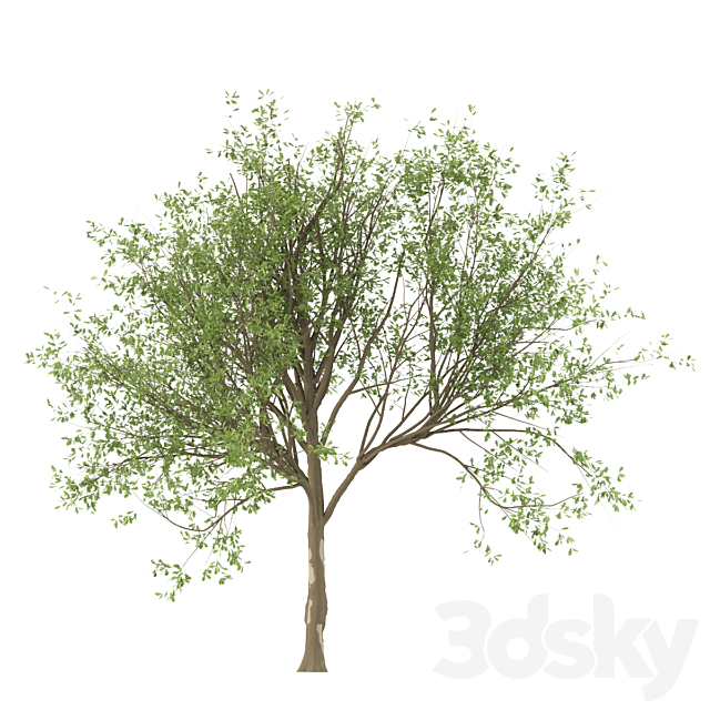 3915967.61e345ef1987c