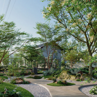 Globe Plants - Bundle 17 Modern Janapese Garden