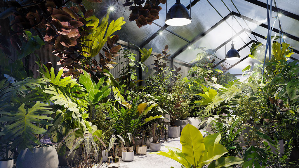 Globe Plants - Bundle 30 Interior Pot Plants