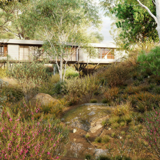 Globe Plants - Bundle 41 - Australian Wild Plants