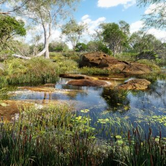 Globe Plants - Bundle 46 - Wetland Plants