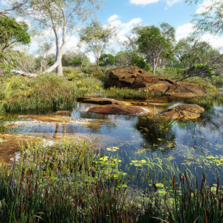 Globe Plants - Bundle 46 - Wetland Plants