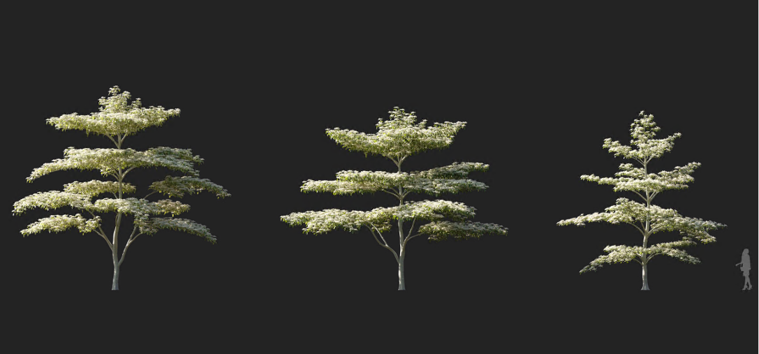 Maxtree - Plant Models Vol 1143