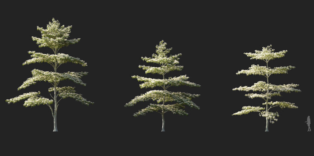 Maxtree - Plant Models Vol 1144