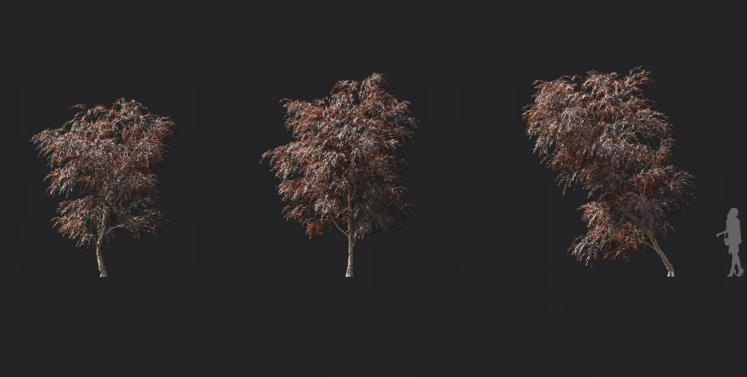 Maxtree - Plant Models Vol 11921111