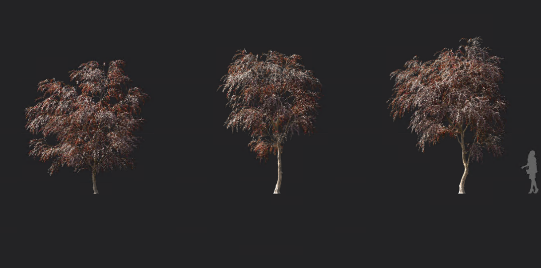 Maxtree - Plant Models Vol 11933333