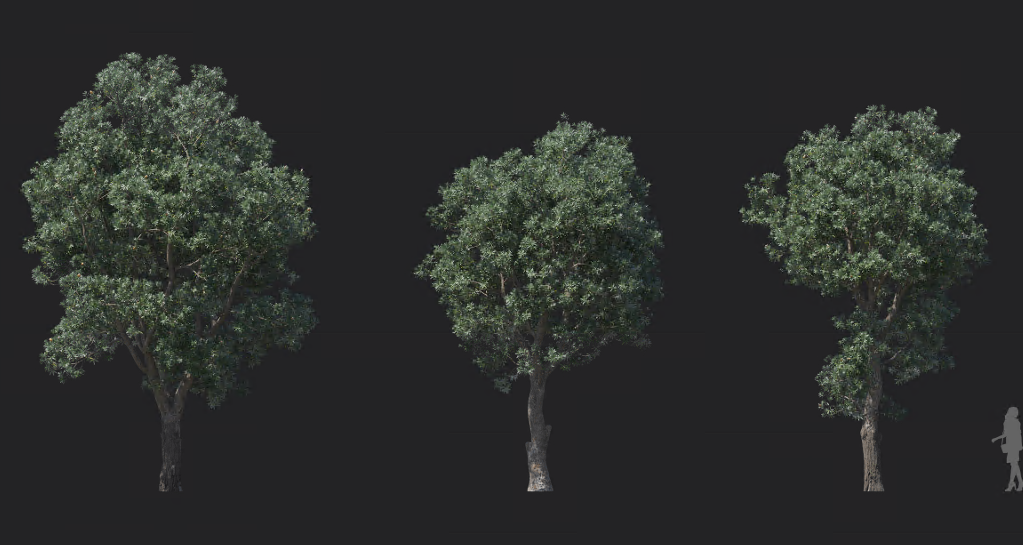 Maxtree - Plant Models Vol 1211