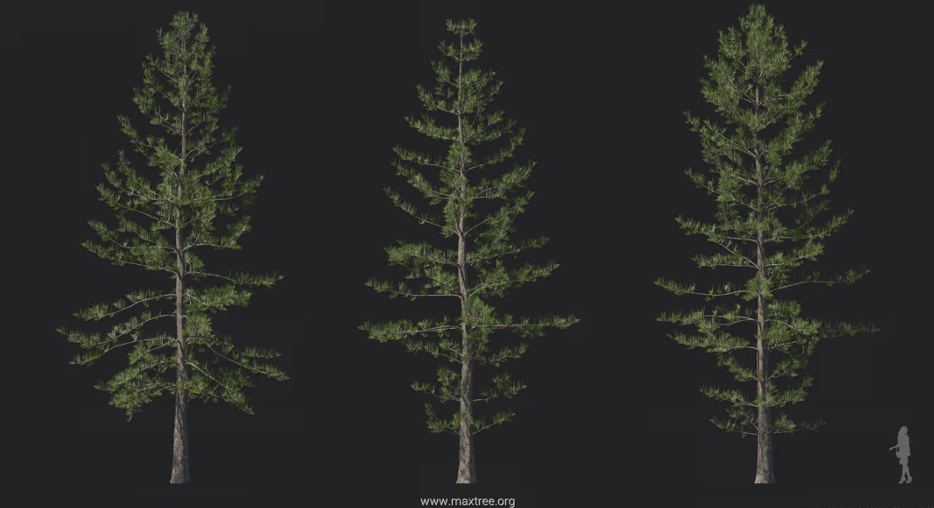 Maxtree - Plant Models Vol 1212