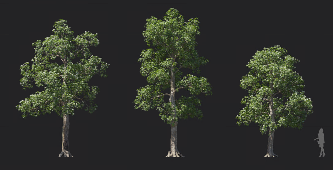 Maxtree - Plant Models Vol 1214
