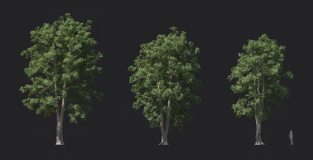 Maxtree - Plant Models Vol 1215