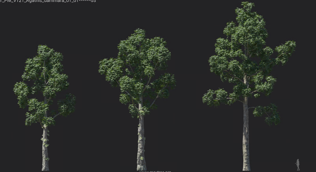 Maxtree - Plant Models Vol 1216