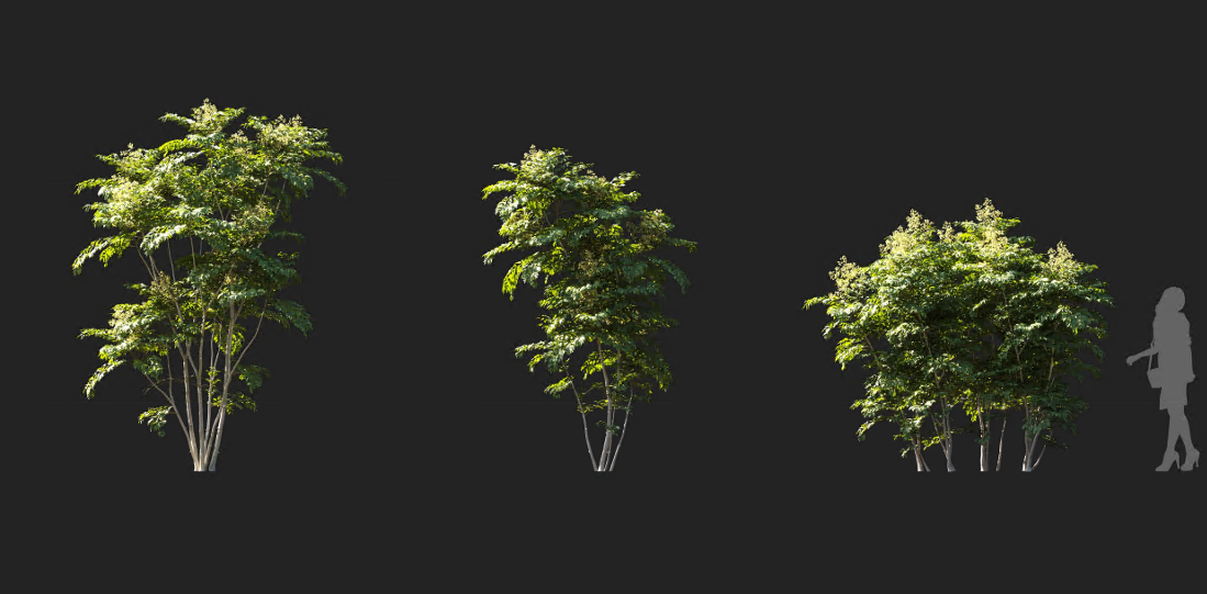 Maxtree - Plant Models Vol 1223