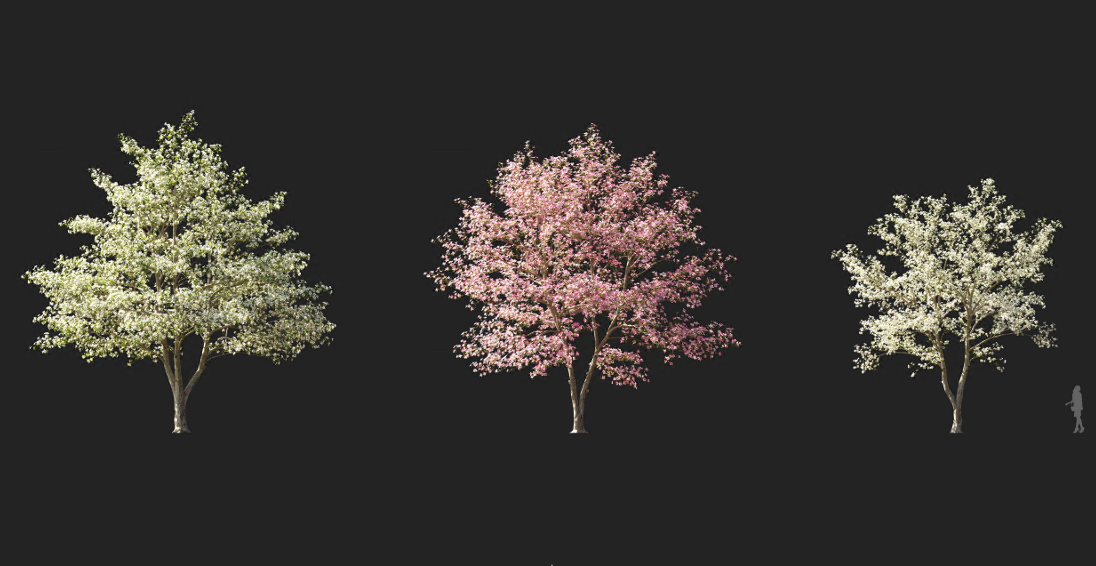 Maxtree - Plant Models Vol 1224