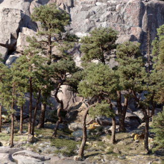 Maxtree - Plant Models Vol 126