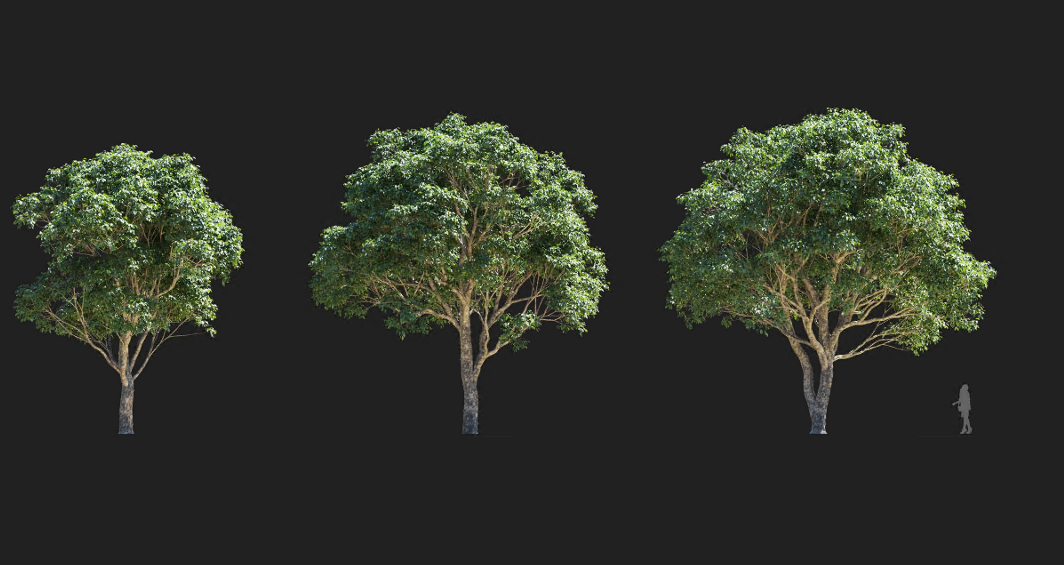 Maxtree - Plant Models Vol 1375