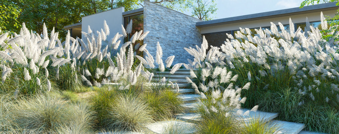 Maxtree - Plant Models Vol 139