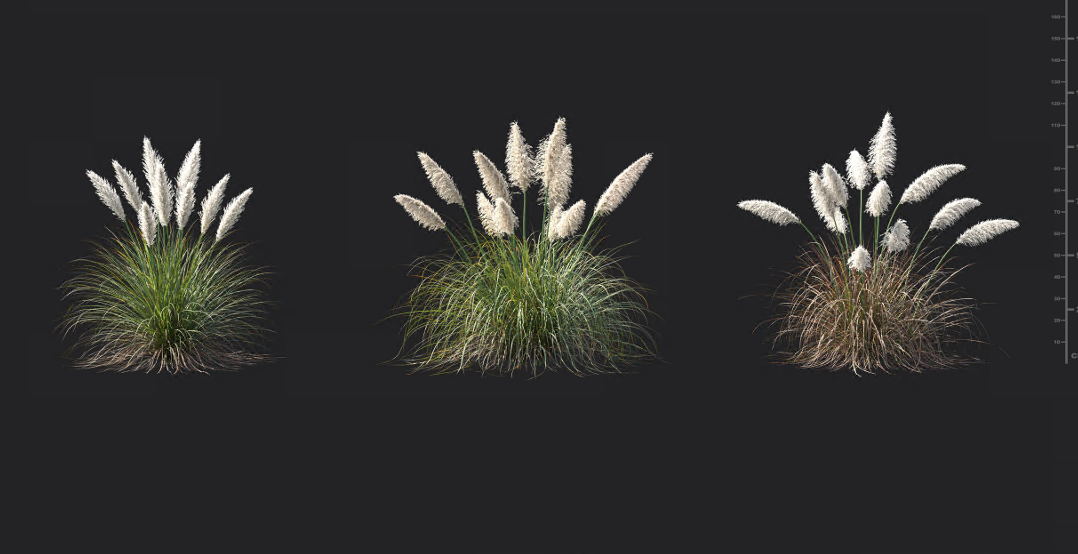 Maxtree - Plant Models Vol 1391