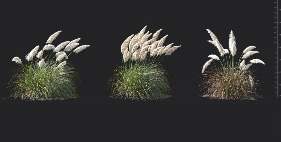 Maxtree - Plant Models Vol 1392