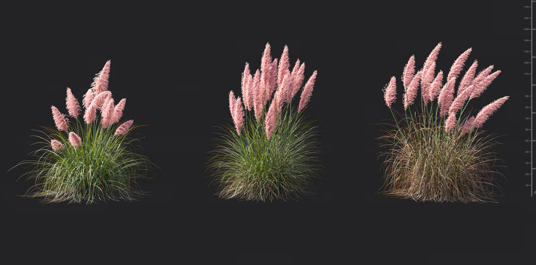 Maxtree - Plant Models Vol 1393
