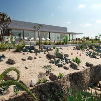 Globe Plants - Bundle 11 Desert Garden