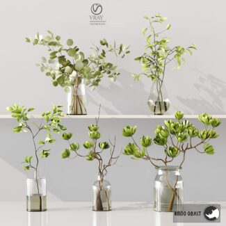 Collaction Indoor Plants 025 Rhino
